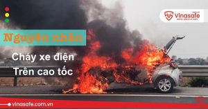 nguyên nhân cháy xe điện trên cao tốc