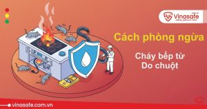 cháy bếp từ do chuột